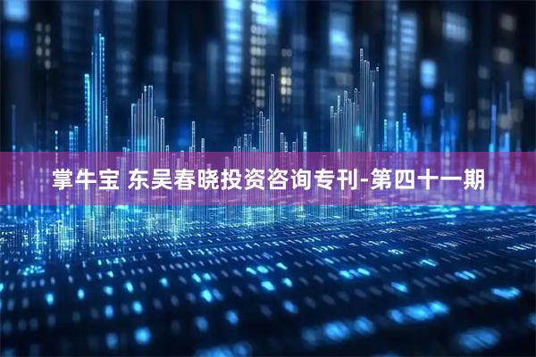 掌牛宝 东吴春晓投资咨询专刊-第四十一期