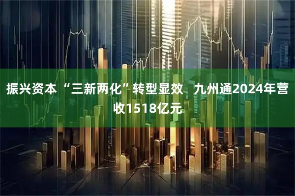 振兴资本 “三新两化”转型显效   九州通2024年营收1518亿元