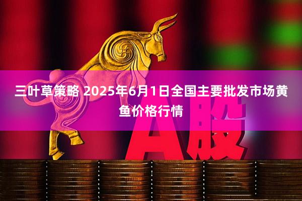 三叶草策略 2025年6月1日全国主要批发市场黄鱼价格行情