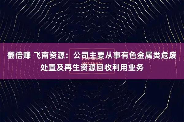 翻倍赚 飞南资源：公司主要从事有色金属类危废处置及再生资源回收利用业务