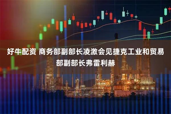 好牛配资 商务部副部长凌激会见捷克工业和贸易部副部长弗雷利赫